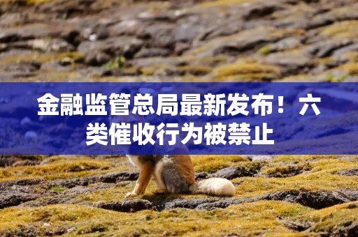 金融监管总局最新发布！六类催收行为被禁止