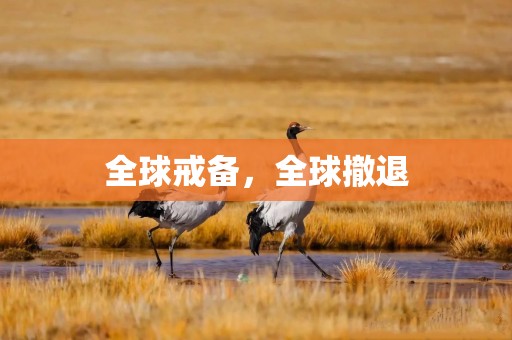 全球戒备，全球撤退