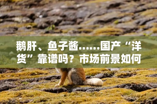 鹅肝、鱼子酱……国产“洋货”靠谱吗？市场前景如何？专家分析