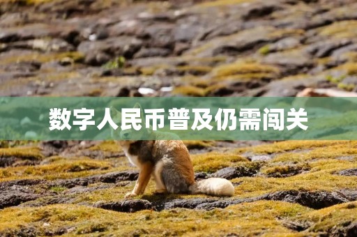 数字人民币普及仍需闯关