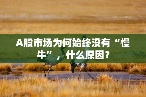A股市场为何始终没有“慢牛”，什么原因？