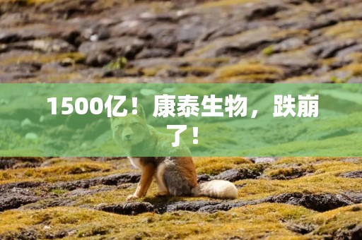 1500亿！康泰生物，跌崩了！