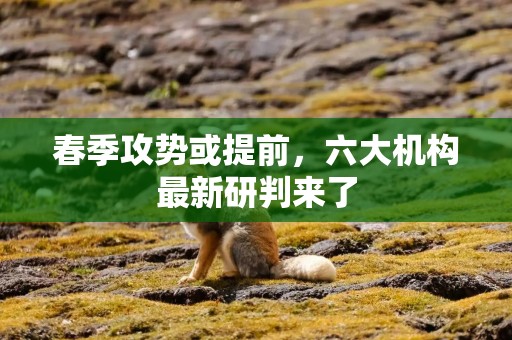 春季攻势或提前，六大机构最新研判来了