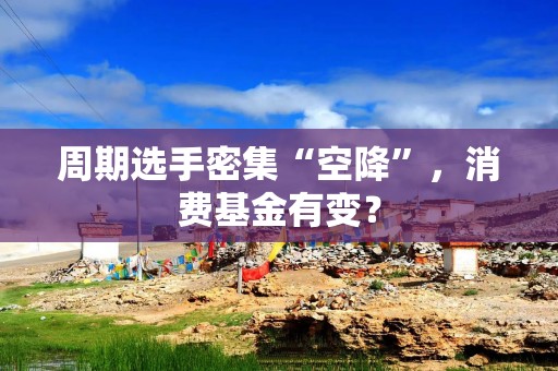 周期选手密集“空降”，消费基金有变？