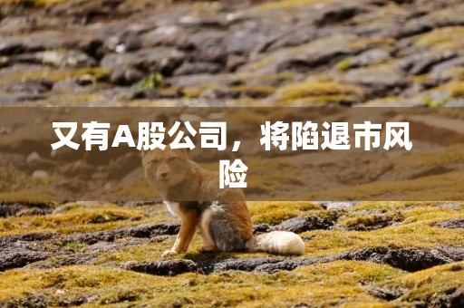 又有A股公司，将陷退市风险