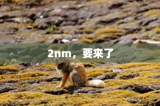 2nm，要来了