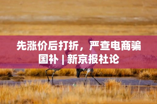 先涨价后打折，严查电商骗国补 | 新京报社论
