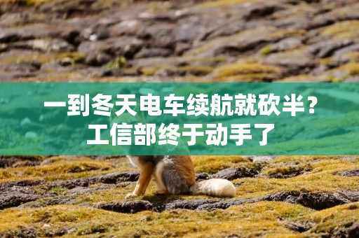 一到冬天电车续航就砍半？工信部终于动手了