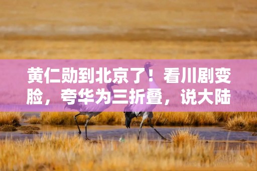 黄仁勋到北京了！看川剧变脸，夸华为三折叠，说大陆离职率全球最低