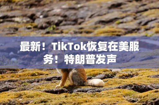 最新！TikTok恢复在美服务！特朗普发声