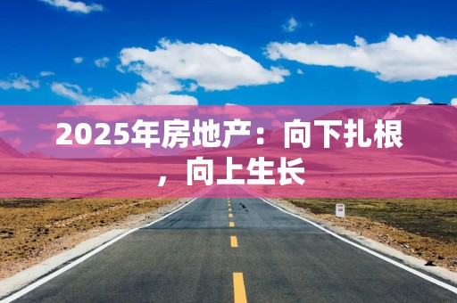 2025年房地产：向下扎根，向上生长