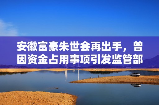 安徽富豪朱世会再出手，曾因资金占用事项引发监管部门介入
