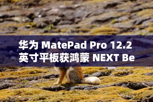 华为 MatePad Pro 12.2 英寸平板获鸿蒙 NEXT Beta 版升级