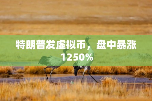 特朗普发虚拟币，盘中暴涨1250%