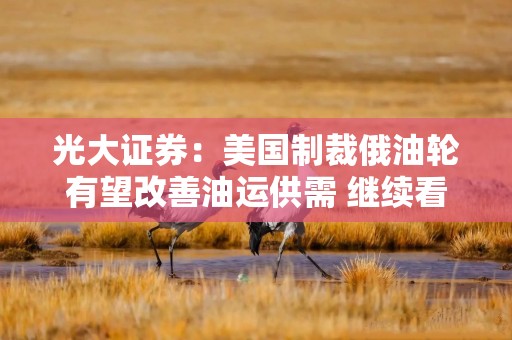 光大证券：美国制裁俄油轮有望改善油运供需 继续看好油运景气上行确定性