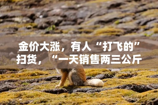 金价大涨，有人“打飞的”扫货，“一天销售两三公斤”！今年还会涨吗？