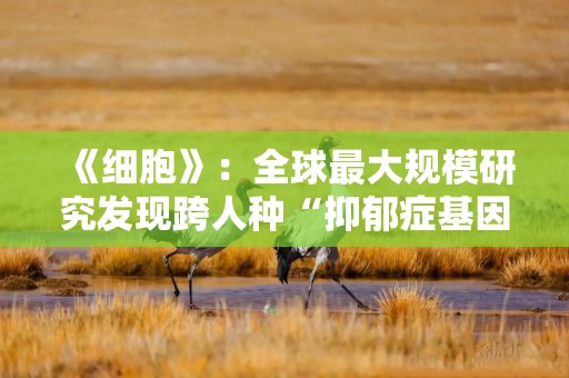 《细胞》：全球最大规模研究发现跨人种“抑郁症基因”