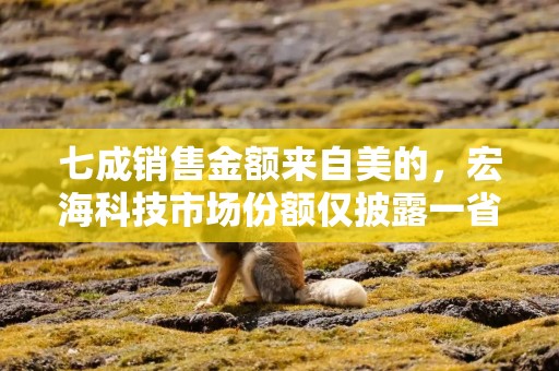 七成销售金额来自美的，宏海科技市场份额仅披露一省数据｜IPO观察