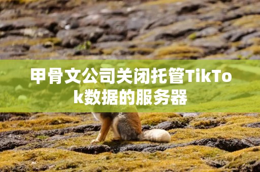甲骨文公司关闭托管TikTok数据的服务器
