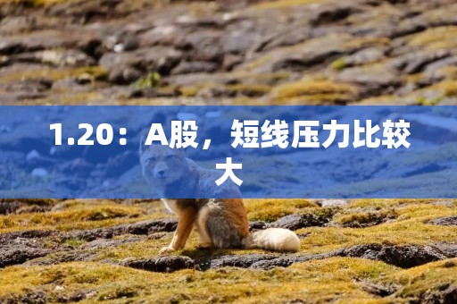 1.20：A股，短线压力比较大