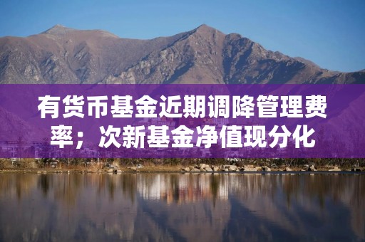 有货币基金近期调降管理费率；次新基金净值现分化