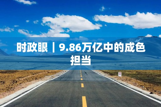 时政眼｜9.86万亿中的成色担当