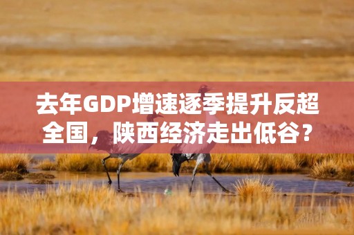去年GDP增速逐季提升反超全国，陕西经济走出低谷？