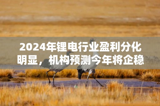 2024年锂电行业盈利分化明显，机构预测今年将企稳回升