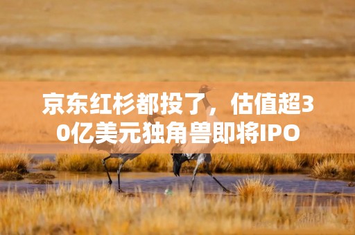 京东红杉都投了，估值超30亿美元独角兽即将IPO