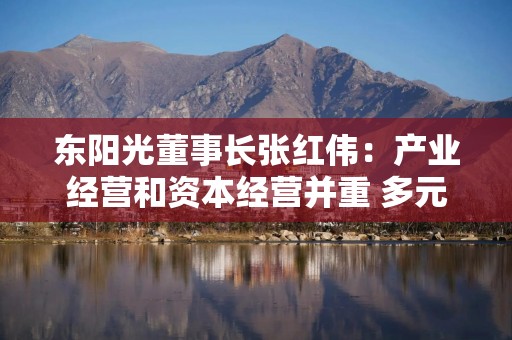 东阳光董事长张红伟：产业经营和资本经营并重 多元化布局推动高质量发展