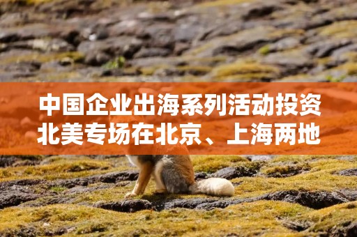 中国企业出海系列活动投资北美专场在北京、上海两地成功举办