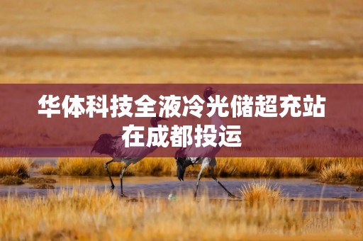 华体科技全液冷光储超充站在成都投运