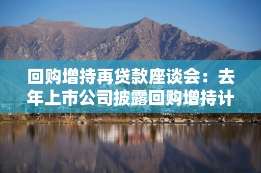 回购增持再贷款座谈会：去年上市公司披露回购增持计划近3000亿元，超300家上市公司参与