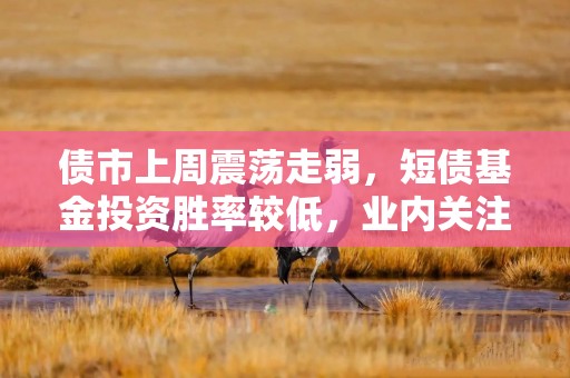 债市上周震荡走弱，短债基金投资胜率较低，业内关注可转债配置机遇