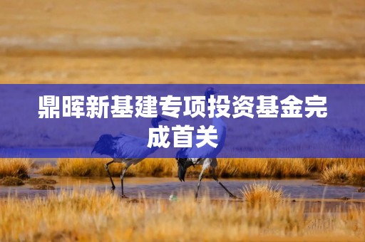 鼎晖新基建专项投资基金完成首关