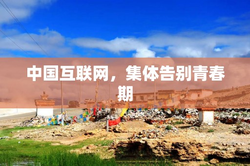 中国互联网，集体告别青春期