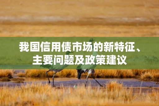 我国信用债市场的新特征、主要问题及政策建议