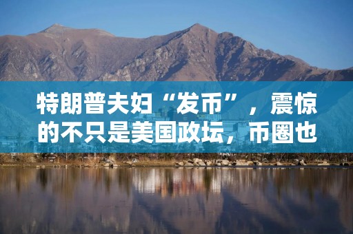 特朗普夫妇“发币”，震惊的不只是美国政坛，币圈也懵了