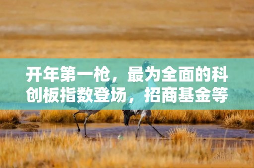 开年第一枪，最为全面的科创板指数登场，招商基金等已上报ETF！