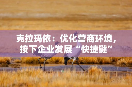 克拉玛依：优化营商环境，按下企业发展“快捷键”