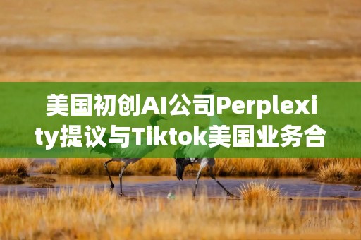 美国初创AI公司Perplexity提议与Tiktok美国业务合并
