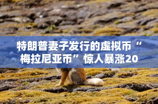 特朗普妻子发行的虚拟币“梅拉尼亚币”惊人暴涨2000% 一文告诉你如何购买