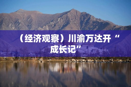（经济观察）川渝万达开“成长记”