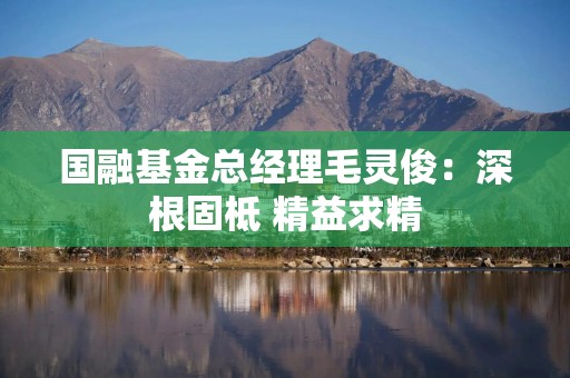 国融基金总经理毛灵俊：深根固柢 精益求精