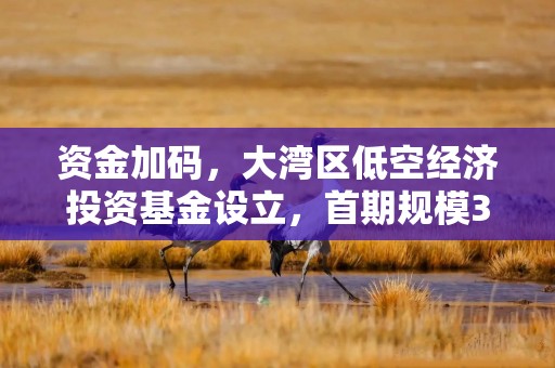 资金加码，大湾区低空经济投资基金设立，首期规模3亿元