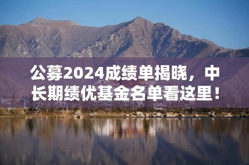 公募2024成绩单揭晓，中长期绩优基金名单看这里！