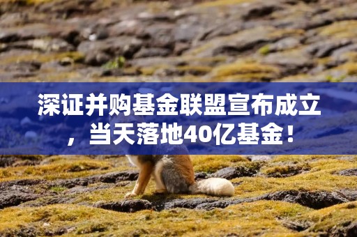 深证并购基金联盟宣布成立，当天落地40亿基金！