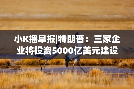 小K播早报|特朗普：三家企业将投资5000亿美元建设AI基础设施 多家芯片公司业绩大幅预增