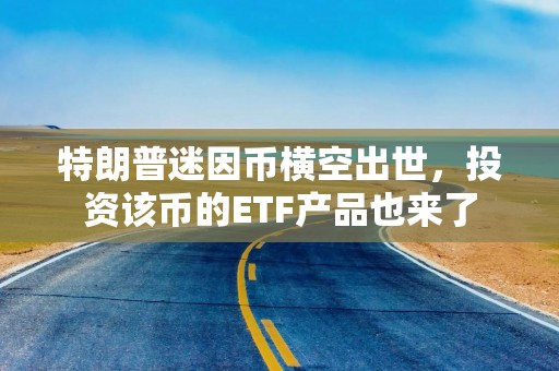 特朗普迷因币横空出世，投资该币的ETF产品也来了