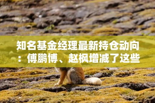 知名基金经理最新持仓动向：傅鹏博、赵枫增减了这些个股